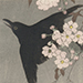 Shoun Yamamoto Gallery